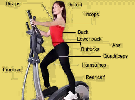 Elliptical Trainer Benefits