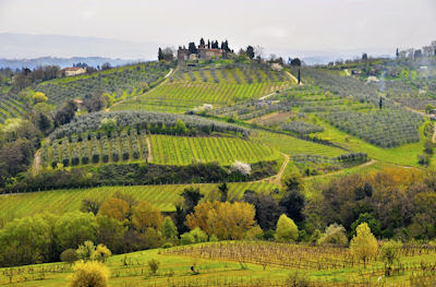 Paisaje de Tuscana, Italia. - Tuscany Italy. Landscapes