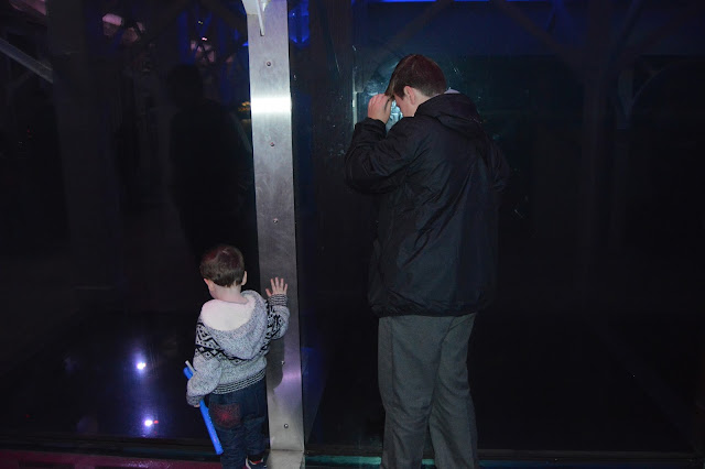 two boys looking down from blackpool tower