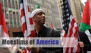 Moeslims of America