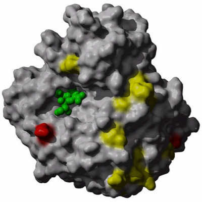 Vir jako 3D obrázek neuraminidázového proteinu viru prasečí chřipky