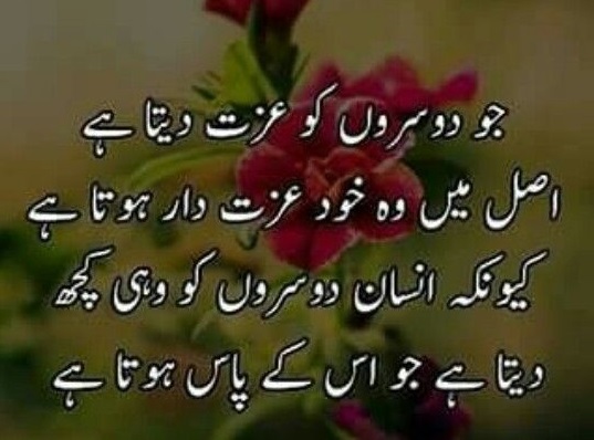 best inspirational quotes in urdu
