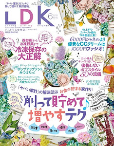 LDK(エルディーケー) 2018年 06 月号 [雑誌]