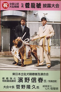 Japanese mastiff dogo