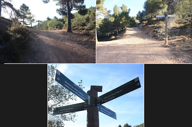 CABRA DEL CAMP-COLL DE SÀRRIA-ROC DEL COGULLÓ-EL COGULLÓ-PUIG DE COMAVERD-COLL DE VALLS, Camí de Cabra del Camp a Vallespinosa al Coll de Sàrria