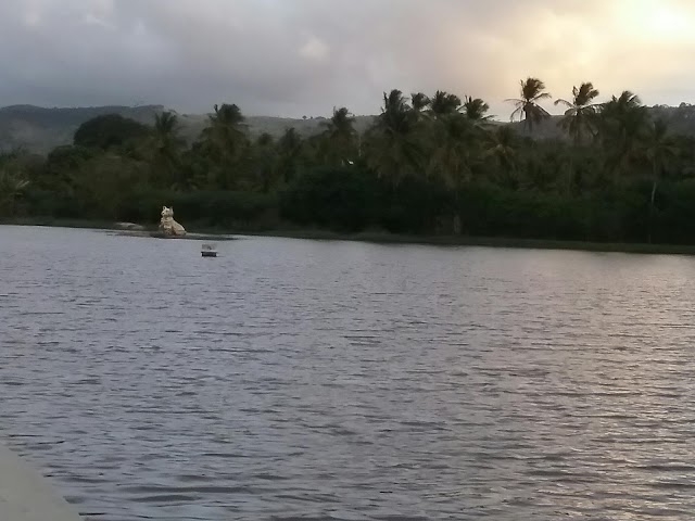 LAGOA DOS GATOS: VIVENCIA 88 ANOS DE EMANCIPAÇÃO POLÍTICA 