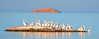 Egypt Lake Nasser Cruise