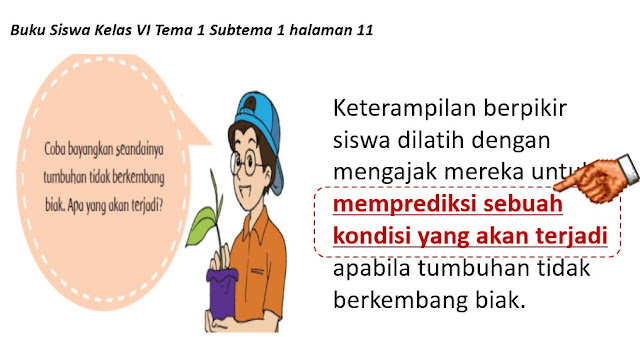 Soal HOTS Pada Kurikulum 2013 Revisi Inilah Kumpulan Contohnya