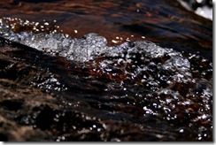 IMG_0095_1