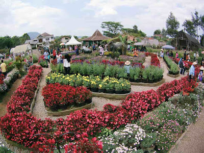 Foto Taman Begonia Lembang