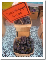 concord grapes