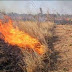 Χρυσή Αλμωπίας : Για πυρκαγιά σε ξηρά χόρτα επιβλήθηκε διοικητικό πρόστιμο