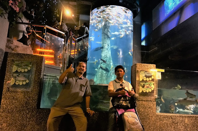 Had An Aqualicious Amazing Experience At Aquaria, KLCC