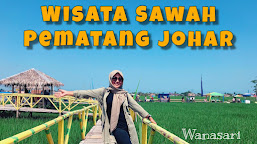 News Vlog -  Wisata Sawah Pematang Johar Deli Serdang