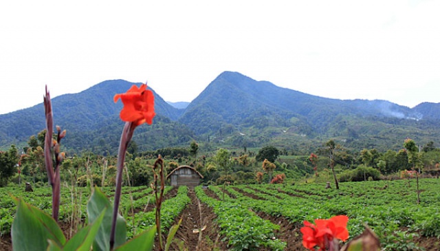 Misteri 'Orang Pendek' di Danau Gunung Tujuh  Informasi 