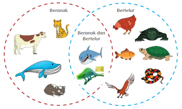  Hewan  Sahabatku Kelas 6 Subtema 2 Pembelajaran 1 