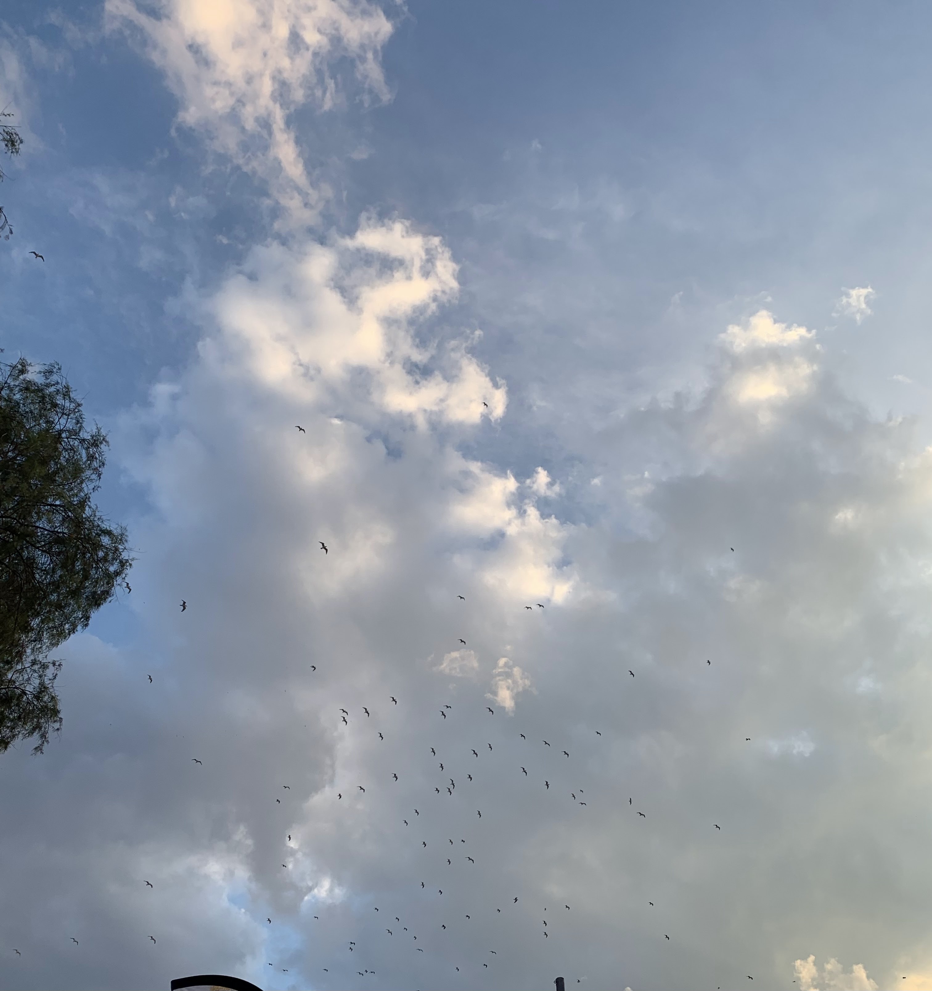 τρομακτικός έγινε ο ουρανός στη Χαλκίδα 