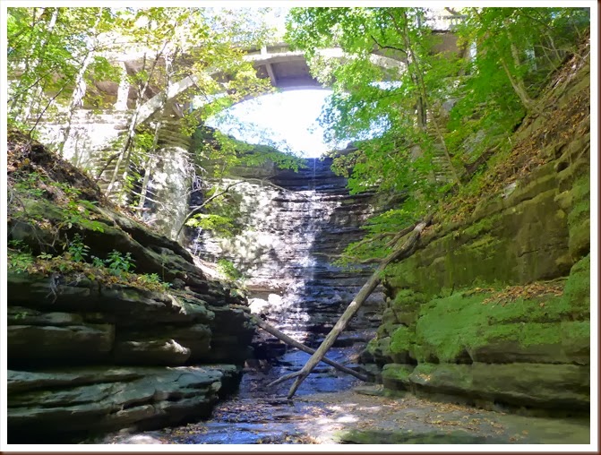 Matthiessen S.P IL