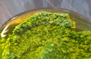 mælkefri grøn pesto