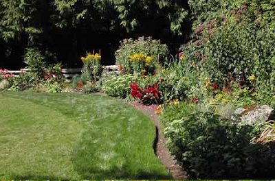 Flower Bed Designs