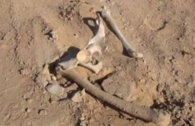 العثور على عظام بشرية يرجح أنها لشيخ ستيني اختفى في ظروف غامضة