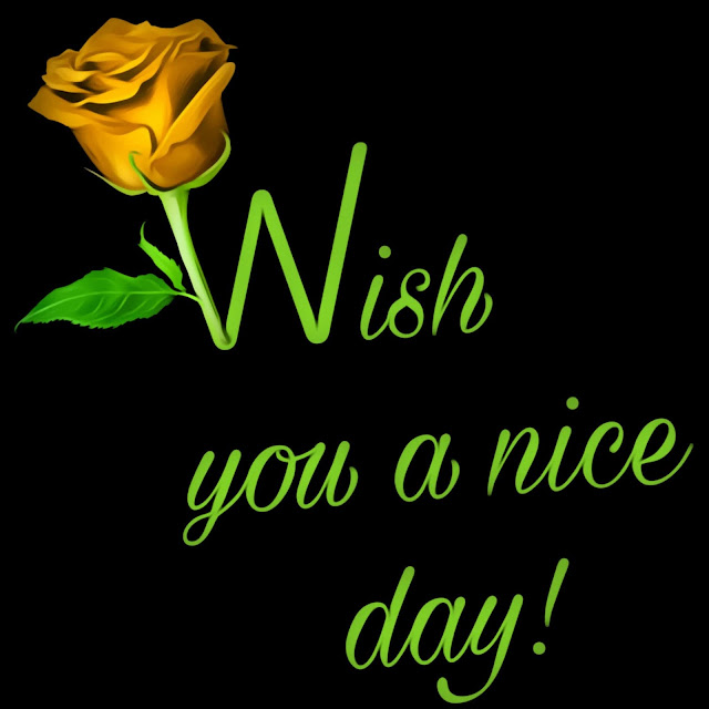 Best have a nice day images in 2021-Have a nice day images Download