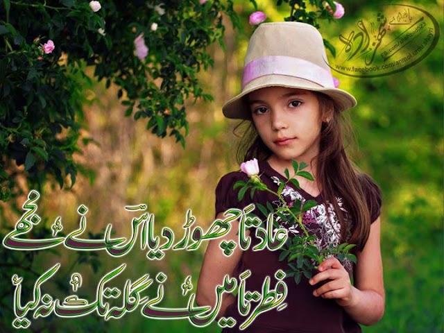 Fitratan mein ne gilla takk na kiya Lovely Poetry