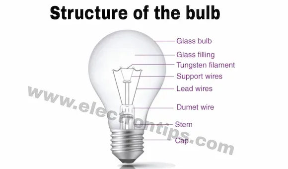 Component of the bulb light