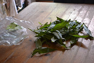 Turkish rocket leaves on kitchen table