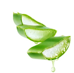 is-aloe-vera-good-for-white-discharge