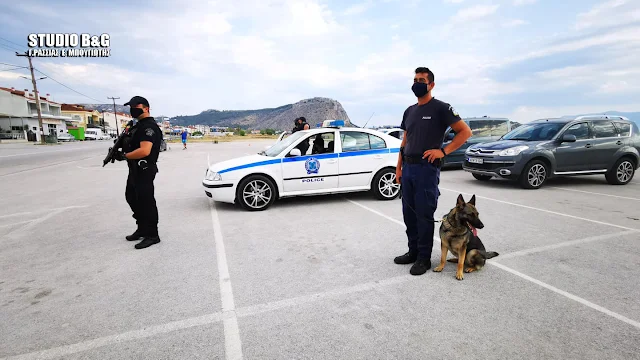 Αργολίδα: Έλεγχοι της αστυνομίας στο Ναύπλιο με εκπαιδευμένο σκύλο