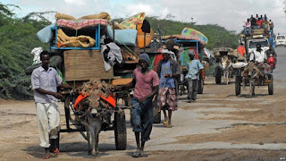 Men are seen escorting donkey carts in southern Mogadishu, Somalia, Oct. 12, 2011. Nine donkeys pulling carts with supplies to a government-controlled area have reportedly been shot dead by al-Shabab militants in the country's Bakool region.