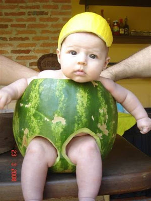 Cute Baby Photos Funny Animal Pictures Baby In Water Melon