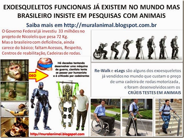 EXOESQUELETOS