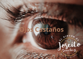 El Rincón de Joseitosanchezs 13/9/2023