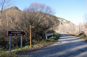 Cuervo-teruel-estrechos-rio-ebron