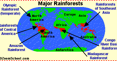 Rainforest Webquest: Rainforest of the World/Why are ...