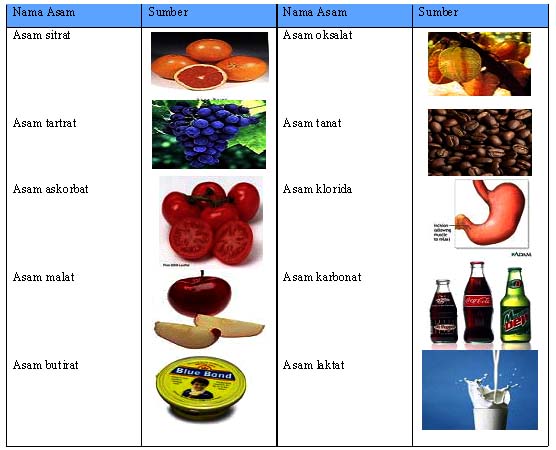 Tabel 1.1 Beberapa Asam dan Sumbernya