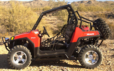 polaris rzr Picture