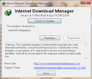 Internet Download Manager 6.11 Beta Build 4 Full Version