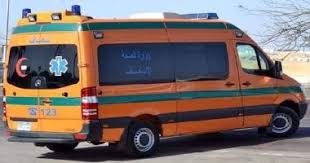 مصرع ربة منزل عقب تناولها وجبة «ملوخية» فاسدة فى طما بسوهاج