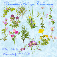 Beautiful Foliage Collection PNG