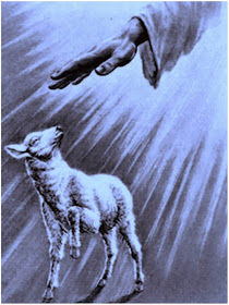 En la imagen la mano de Dios irraciando sobre una oveja.
