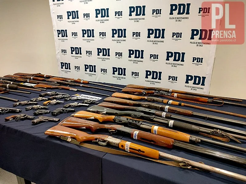 Reliquias de fuego II: PDI recupera más de 30 armas en provincia de Osorno