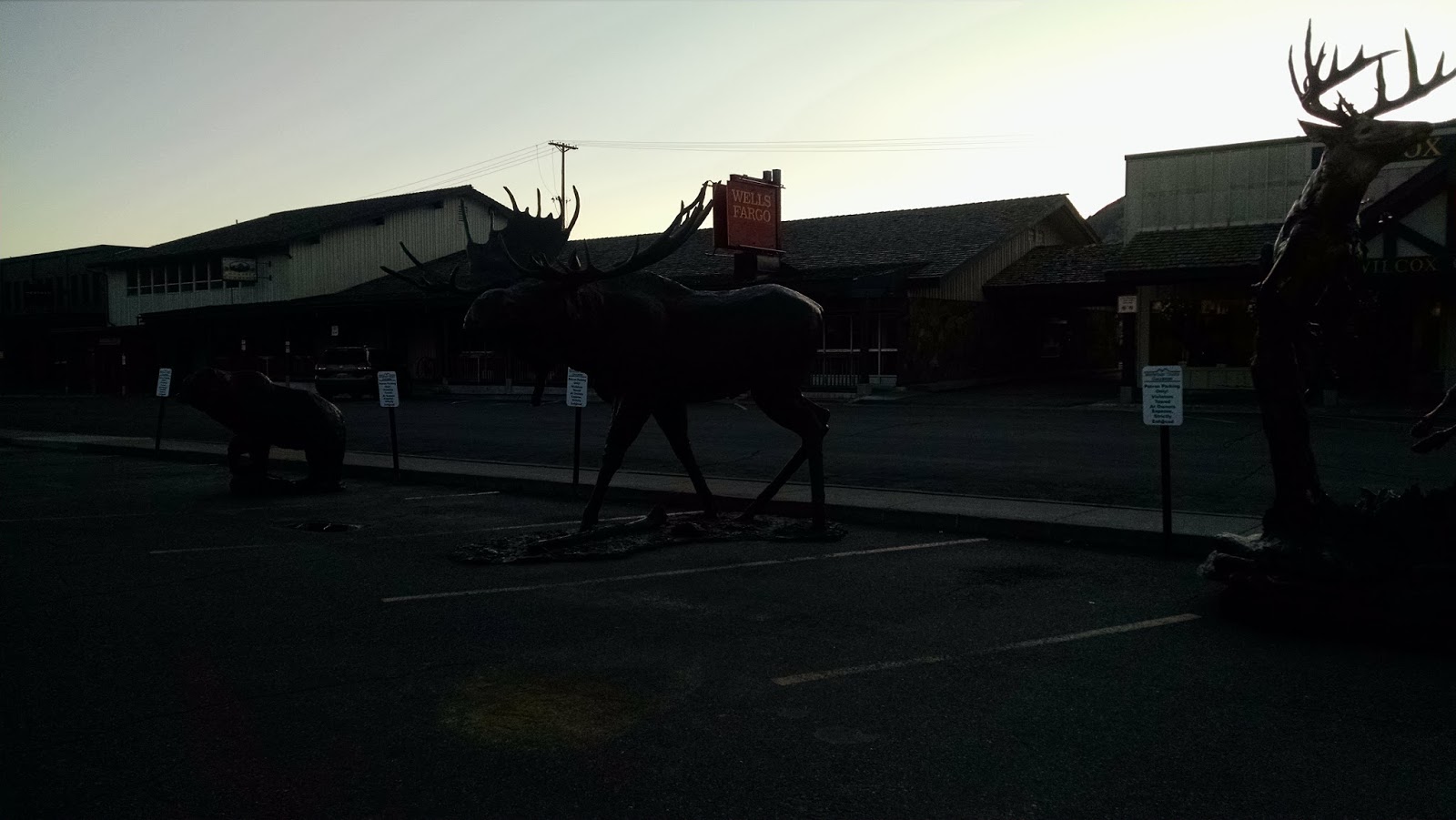 Running on Eddie: Downtown Jackson Hole Wyoming Run