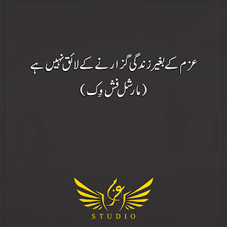 quotes in urdu