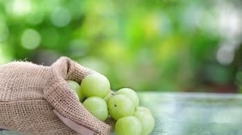 10 Motivations Behind Why You Ought To Consume Indian Gooseberry (Amla) During Summer :