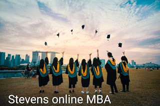 stevens online MBA program