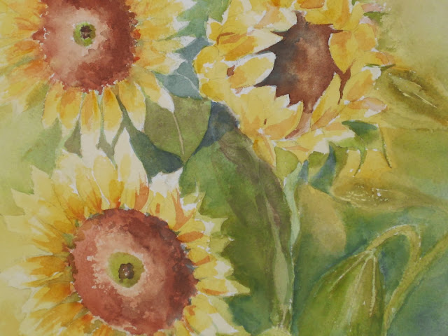 Sun flowers