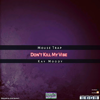 BAIXAR MP3 | Mouse Trap Feat. Kay Moody - Dont Kill My Vibe | 2020